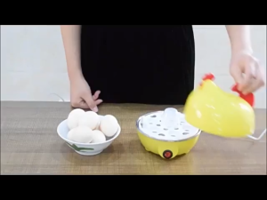 Multifunctional Egg Steamer US Plug Automatic Egg Cooker