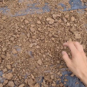 Phân Bò Khô Đã Qua Xử Lý Trồng Rau Sạch Cây Ăn Trái Cây Cảnh Bao Lớn 50dm³ (6.6kg đến 7kg)