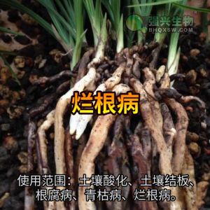 枯草芽孢杆菌 哈茨木霉菌 地衣芽孢杆菌 巨大芽孢杆菌 解淀粉芽孢杆菌500亿复合微生物菌剂抗重茬改良土壤增根壮苗土壤功能菌  Trichoderma Bacillus  Microbes Mikrob