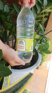 Giấm trắng Pháp Chatel White Wine Vinegar 1L