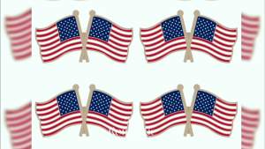 US Navy Crossed Double Flag Lapel Pins SmallMilitary Flags Friendship Pin Badge Pack of 4