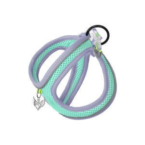 FENGCAO | Breathable No-chafe Vest Style Leash for Small Dogs