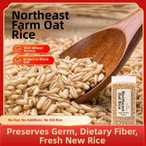 Northeast Healthy Home-use Coarse Grain Oat Rice 2025 New Harvest
