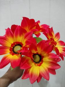 bunga nusa matahari cabang 5