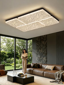 DGY | Modern Minimalist Elegant Ceiling Light
