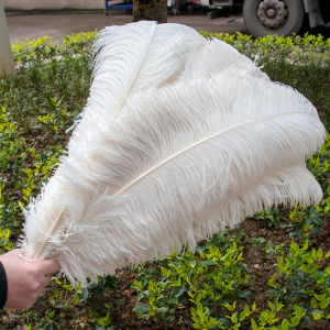 10Pcs Natural Ostrich Feathers Multiple Size 15-20cm 25-30cm 30-35cm for Wedding Christmas Carnival Decor Handcraft DIY Supplies