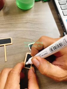 Combo 50 thẻ trụ gỗ name tag chữ nhật dùng ghi tên giống cây trang trí chậu size mini 2x4cm