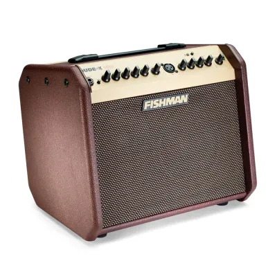 Fishman Loudbox Mini Portable Bluetooth Guitar Amplifier Compact Size for Folk Classical Wood Guitar Singing And Playing