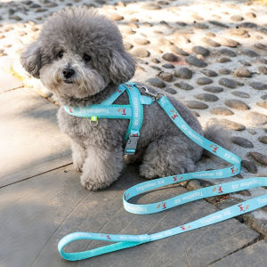 FENGCAO | Anti-escape Harness Leash