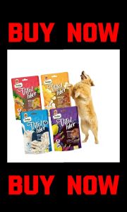 Dentalight Vital Fiber Toothbrush-Shaped Healthy and Grain-Free Dental Dog Treats 80g