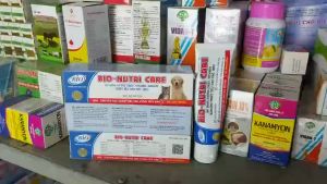 Gel Dinh Dưỡng Cung Cấp Vitamin Thiết Yếu Cho Chó Mèo - BIO Nutri Care - 100gr