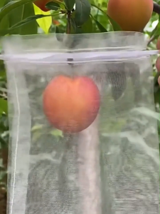 สำหรับบรรจุภัณฑ์ฝรั่ง ชมพู มะม่วง มะม่วง มะม่วง อะโวคาโด ถุงสปันบอนแมลง นำกลับมาใช้ใหม่ได้