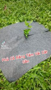 Tấm Vải Địa Phủ Đất Chống Cỏ Dại Có Tặng Kèm Ghim Nhựa