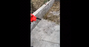 2 in 1 6300W Leaf Cordless Blower Home Electric Vacuum Air Blower Rechargeable Hose Is Removable Portable Blowing and Suction for 2 Purposes