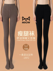 Womens High Waist Thickened Fleece Leggings Pantyhose Grey Base Layer Autumn Winter New Style Outdoor Wear Shapewear Socks