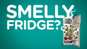 Dung Dịch Vệ Sinh Lò Nướng Nồi Chiên Không Dầu Lò Vi Sóng Dr Beckmann Giúp Loại Bỏ Hoàn Toàn Vết Bẩn Dầu Mỡ Bám Lâu Ngày Nhập Đức