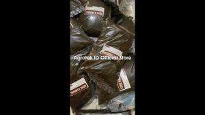 Paket Benih Sayur dan Buah 10 Macam Bonus Pupuk NPK dan Pupuk Kandang Kambing