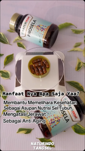 HERBAL JERAWAT DAN BEKAS JERAWAT PRIA DAN WANITA PROSELA NATURINDO