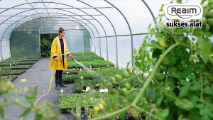 REAIM Pompa Satelit 0.75HP Pompa Air Sumur Dalam Stainless Steel Submersible Pump