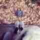 Mis Danny