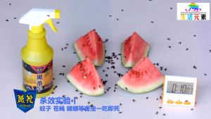 Effective Fly Killer: A Comprehensive Guide