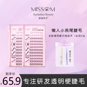 [New plus Segmented Dovetail] Sheer Root Segmented Bean Bag Trilogy Fishtail Eyelash Grafting Curling Soft