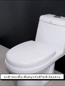 ช่องชำระหนูเสริมสร้างความหนาป้องกันการแตกหัก ฝาครอบชักโครก (ชักโครก)