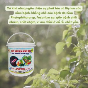 Thuốc trừ sâu sinh học: Thối rễ héo rũ héo tươi - SÁT KHUẨN SINH HỌC - xô 2kg