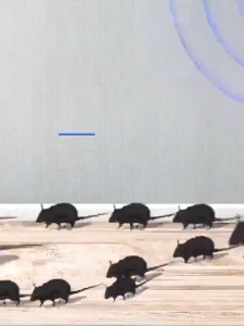 ✨รุ่นอัปเกรด2025✨ เครื่องไล่หนู ไล่หนูถาวร ภายใน1000ม.ไม่มีหนู งู ตะขาบ แมงมุม ไล่จิ้งจกฯลฯ ที่ไล่หนูไฟฟ้า ปกป้องสุขภาพของครอบครัว เครื่องไล่หนูsonic ไล่หนูบนเพดาน เครื่องไล่หนูไฟฟ้า ทำร้ายประสาทหนูโดยตรง ไล่หนูไฟฟ้า กำจัดหนู ไล่หนู ที่ไล่หนู