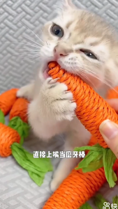 Cat Toy Sisal Carrot Self-Happy Relieving Boredom Resistant Bite-Resistant Grinding Claws Self-Service Toy