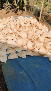Packet Isi 20Pc Piring Pincuk Anyaman Bambu Piring Bambu Piring Pecel Nasi Liwet Serbaguna