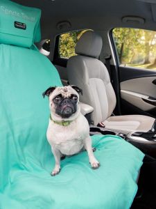 Quick Dry Ultrafine Fiber Car Seat Cushion Yoga Beach Towel Sports Towel Nexersys ST-01 Non-Disposable Outdoor Travel Gear