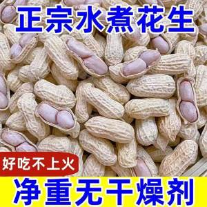 Roasted Boiled Garlic & Five Spice Flavored Peanuts