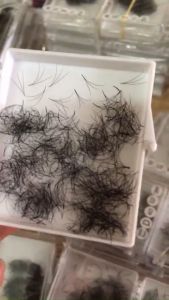 Mi Fan 3D 1h 500 FanLông Mi Volume 3D Cong C - D Fan Xưỡng Đẹp Như Fan Tay Chân Keo NhỏBắt Keo Cực Tốt_Shop Mi Hà