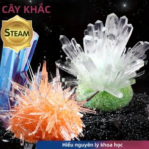 Bộ Đồ Chơi Giáo Dục Khoa Học Về Sự Phát Triển Của Tinh Thể Tự Làm Dành Cho Trẻ Em - Công Cụ Học Tập Trồng Cây Và Giải Đố Chủ Đề Halloween/Giáng Sinh Dành Cho Lứa Tuổi 6-12