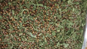 Bột rau má đậu xanh sấy lạnh nguyên chất tách gân siêu mịn detox cơ thể thanh nhiệt đẹp da tốt tiêu hóa