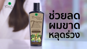 BioVech 7 Herbs Hair Tonic Shampoo and Conditioner ไบโอเวช เซเว่น เฮิร์บ แฮร์ โทนิค แชมพู และครีมนวด