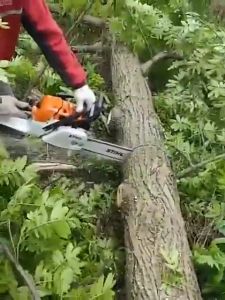 MRTOLL Professional Chainsaw 18/20/22 inch 52cc Heavy Duty Petrol Gasoline Chain Saw Original 2.2kw Lumberjacks Cutting Trees