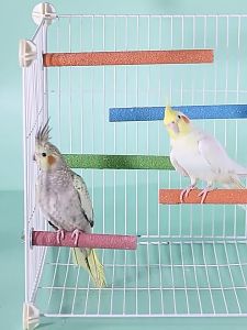 Rennas Bird Perch Bird Toys Parrot Bird Cage For Bird Dove Rest Stand Frame Roost for Bird Supplies