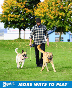 Petmate Rubber Ball Chuckit Ball Pet Dog Toy Elastic Ball Wear Resistant Safe Non-Toxic High Elastic Floating Interactive Toy Dog Walking Border Animal Picking Ball Game Toy Sports Swing Club Parent Child Game Pet Toy