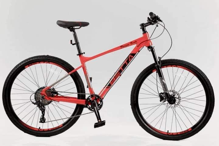 Betta best sale mountain bike