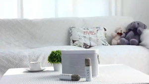 [In Stock]YS 224 Karaoke Set Portable Wireless Home KTV With 2 Microphones Karaoke Seaker Party Speaker Bluetooth