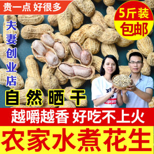 Natural Sun-Dried Farmhouse Boiled Peanuts Salty Dry Elastic Not Crispy Guangdong Heyuan Hakka Salt Water Boiled White Meat Peanuts