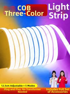 BOOMING LIGHTING | Color-Changing Remote Control LED Strip Lights 220V