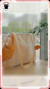 ❤️ กระเป๋าสิงโต, กระเป๋าแมว, กระเป๋าหมา, กระเป๋าสัตว์เลี้ยง❤️