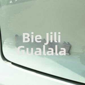 KAYIBEI | Decorative Lucky Car Sticker