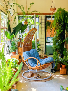 ZIYEYANGTAI | Relaxing Hanging Hammock Chair