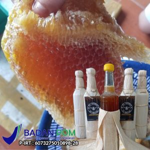 Madu liar sumbawa asli