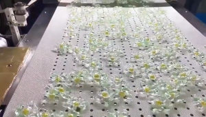 (100pcs) Laundry Beads 5-In-1 Camellia Laundry Capsule Soft Long Lasting Fragrance Long-Lasting Fragrance洗衣凝珠