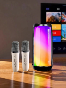 Home KTV Sound System Bluetooth Speaker Wireless Microphone Outdoor Singing Small Family Kit Eurobird Adjustable Bass China